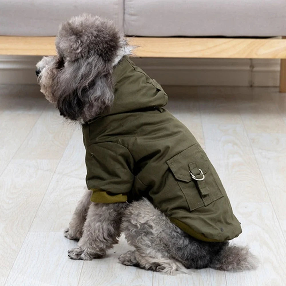 Vêtements chauds pour chiots