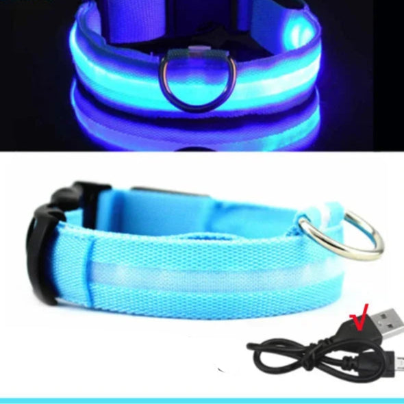 Collier pour chien avec LED clignotante