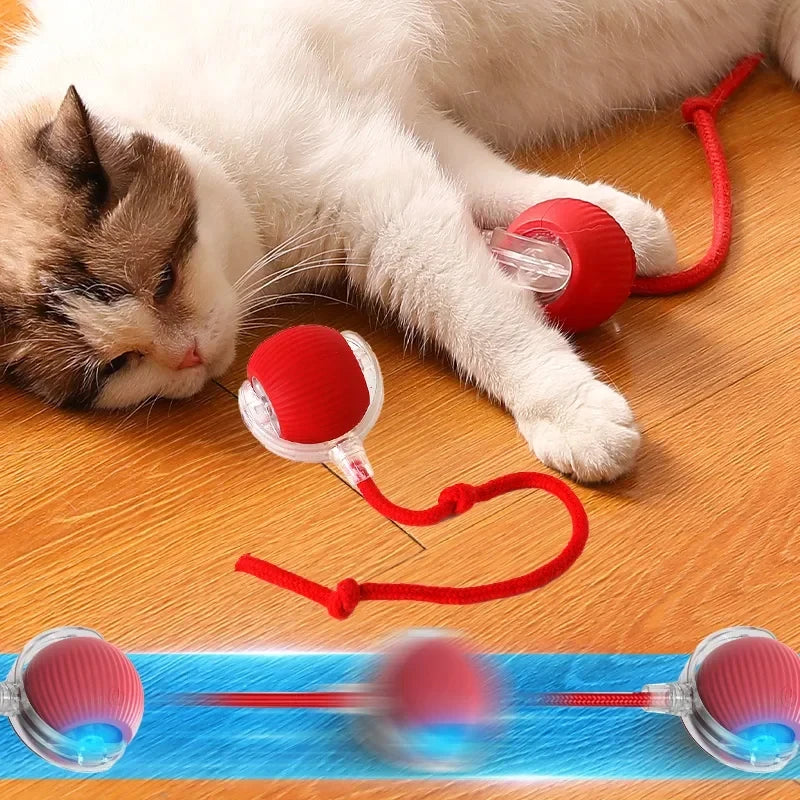 Balle roulante interactive pour chat