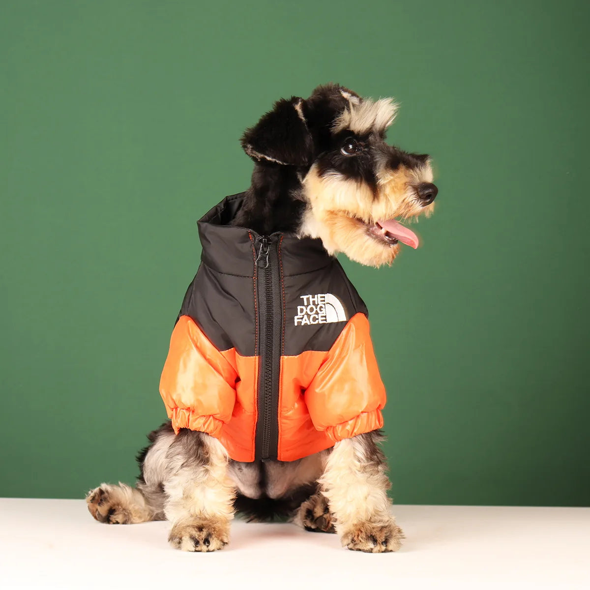 Warm Reflective Pet Jacket