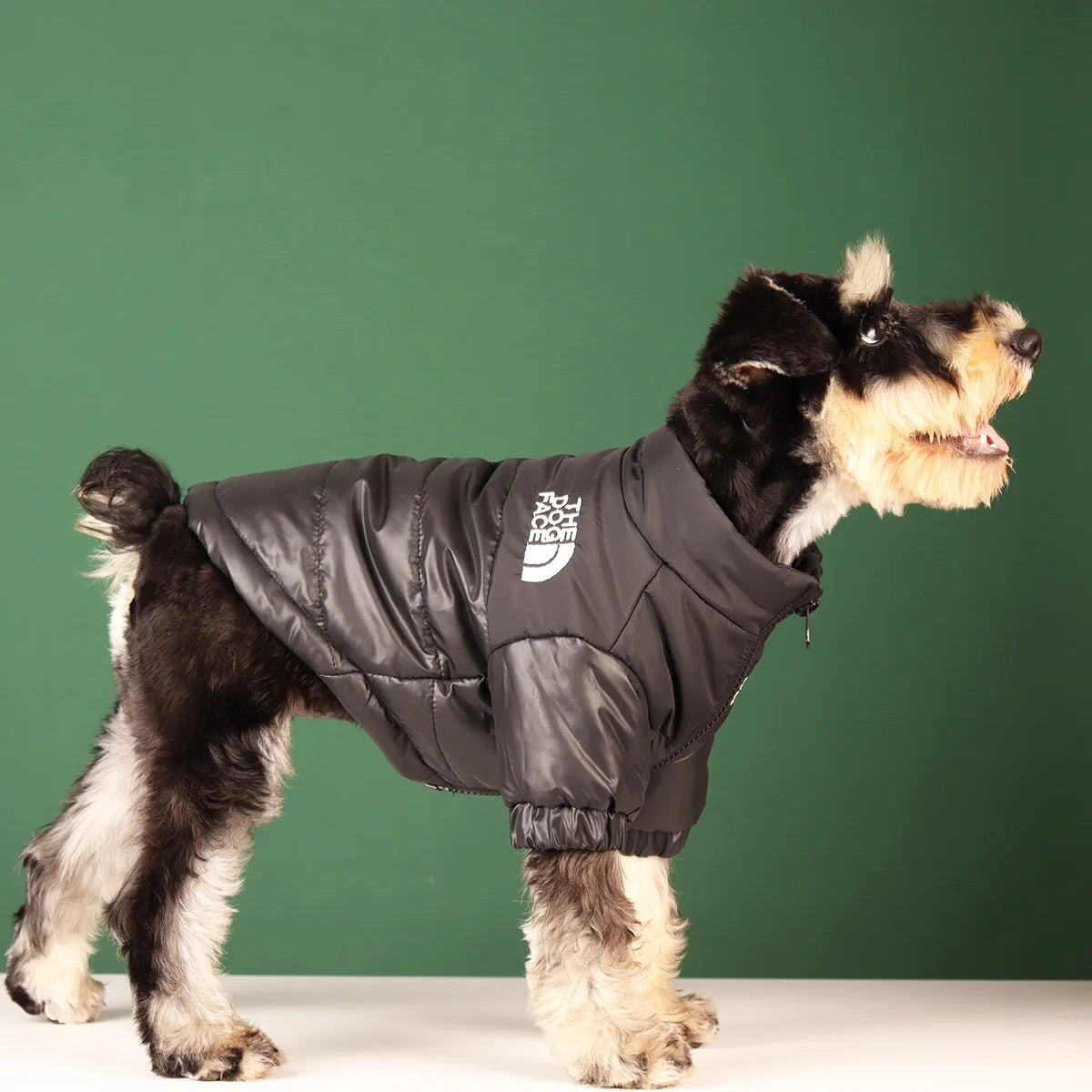 Veste réfléchissante chaude pour animaux de compagnie