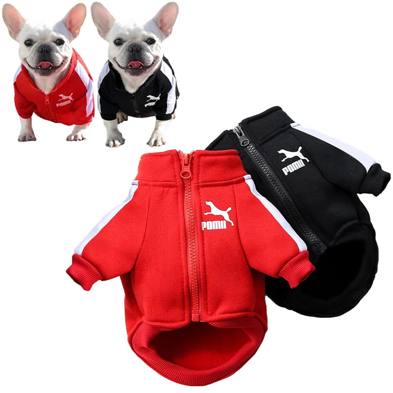 Winter-Baseballjacke für Hunde