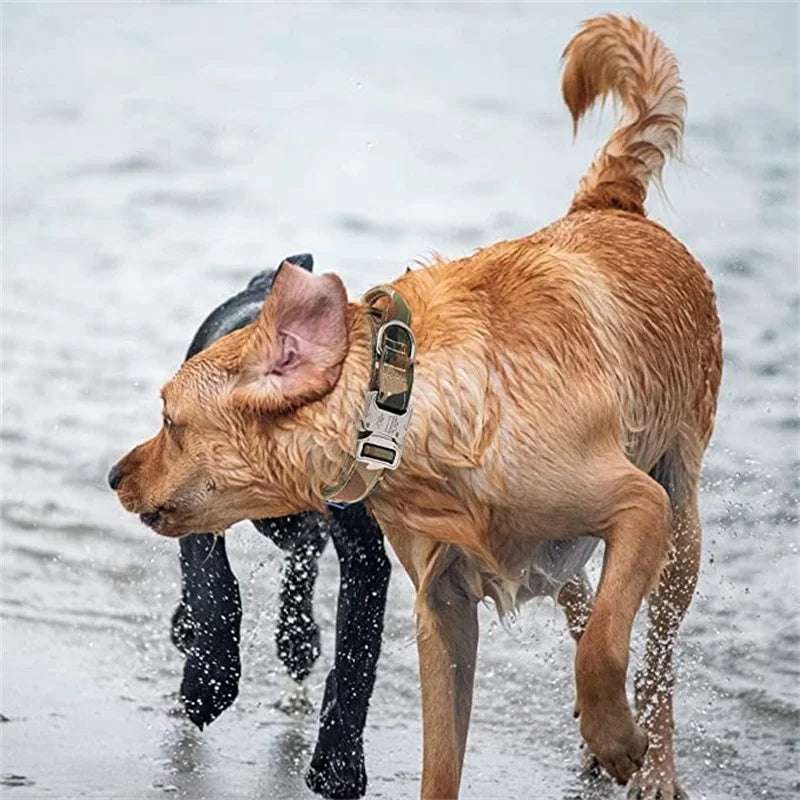 Military-Grade Dog Leash - Pawtopix