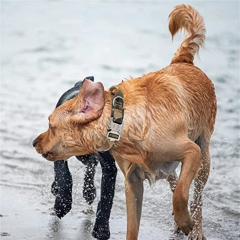 Laisse pour chien de qualité militaire