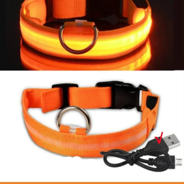 Collier pour chien avec LED clignotante