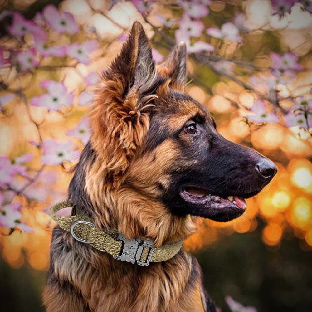 Laisse pour chien de qualité militaire