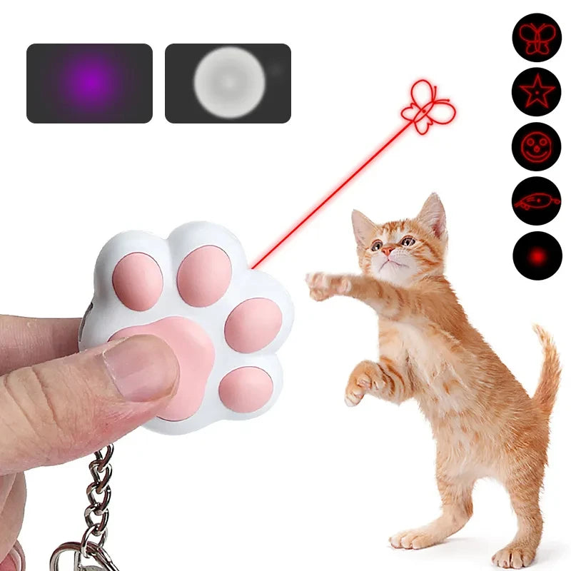 Funny Kitten Training Toy