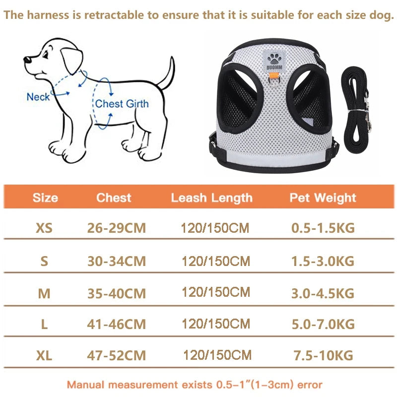 Safety Pet Harness Leash