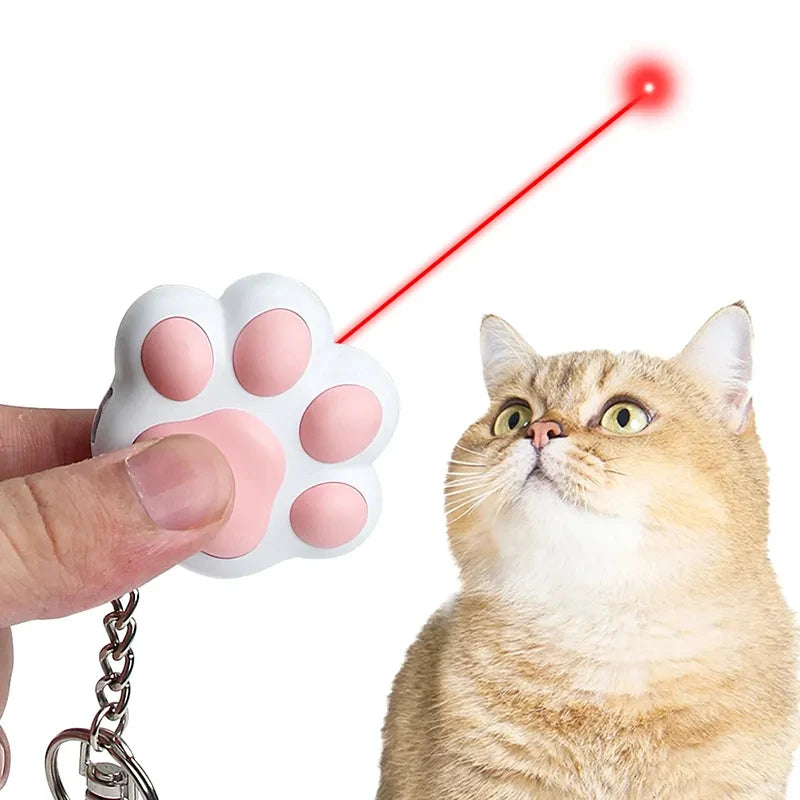 Funny Kitten Training Toy