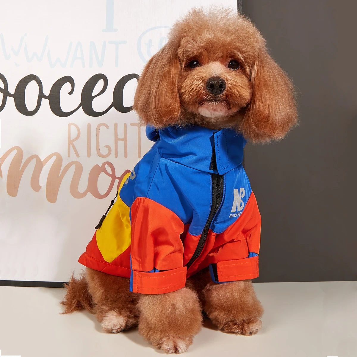 Thickened Winter Dog Jacket