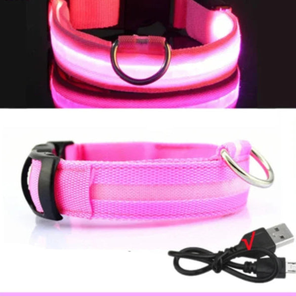 Collier pour chien avec LED clignotante