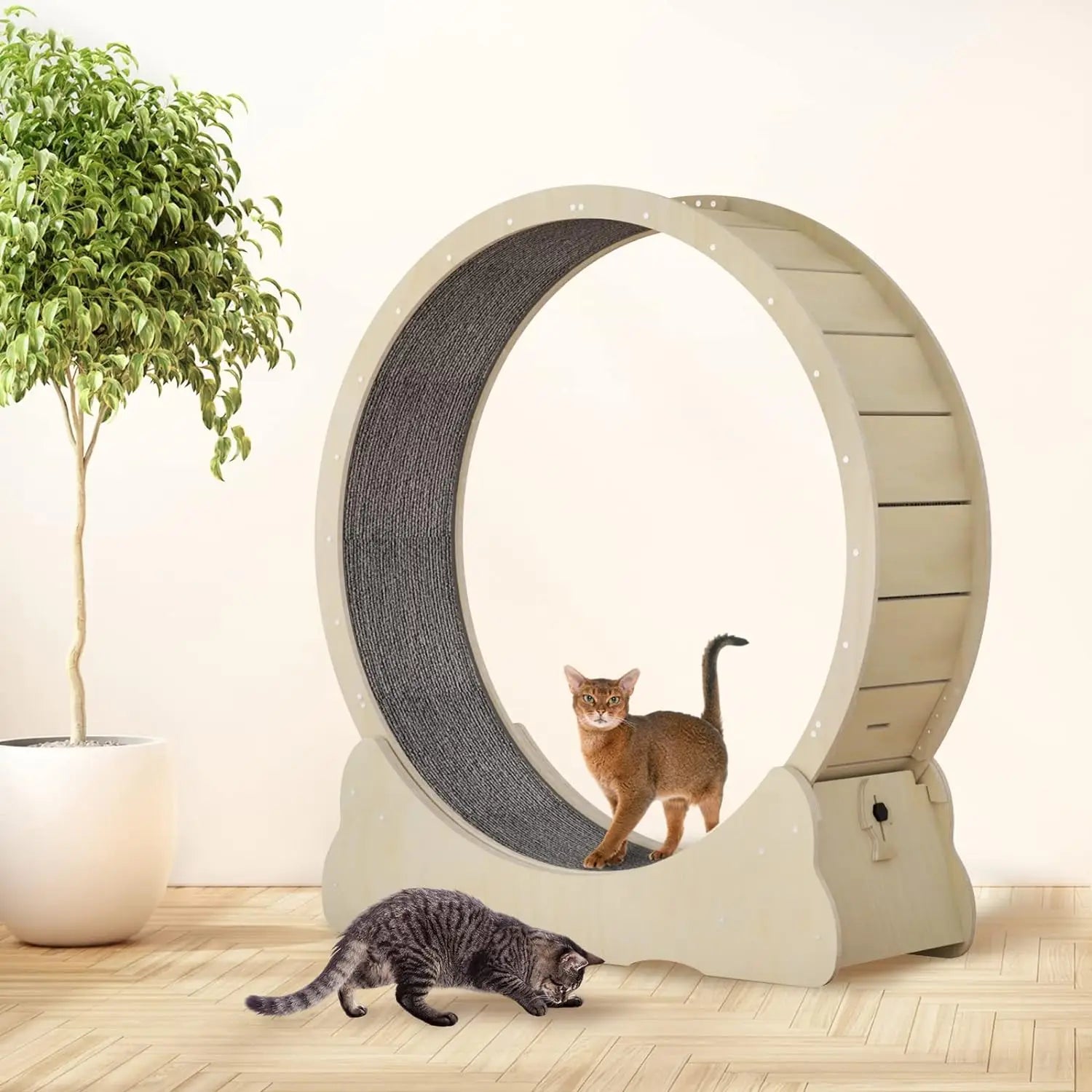 Roue de course silencieuse pour chat