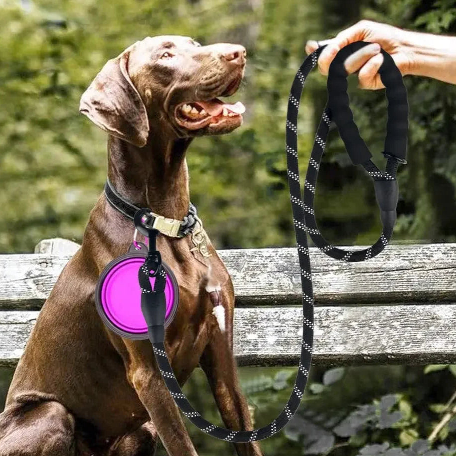 Laisse réfléchissante en nylon pour chien 