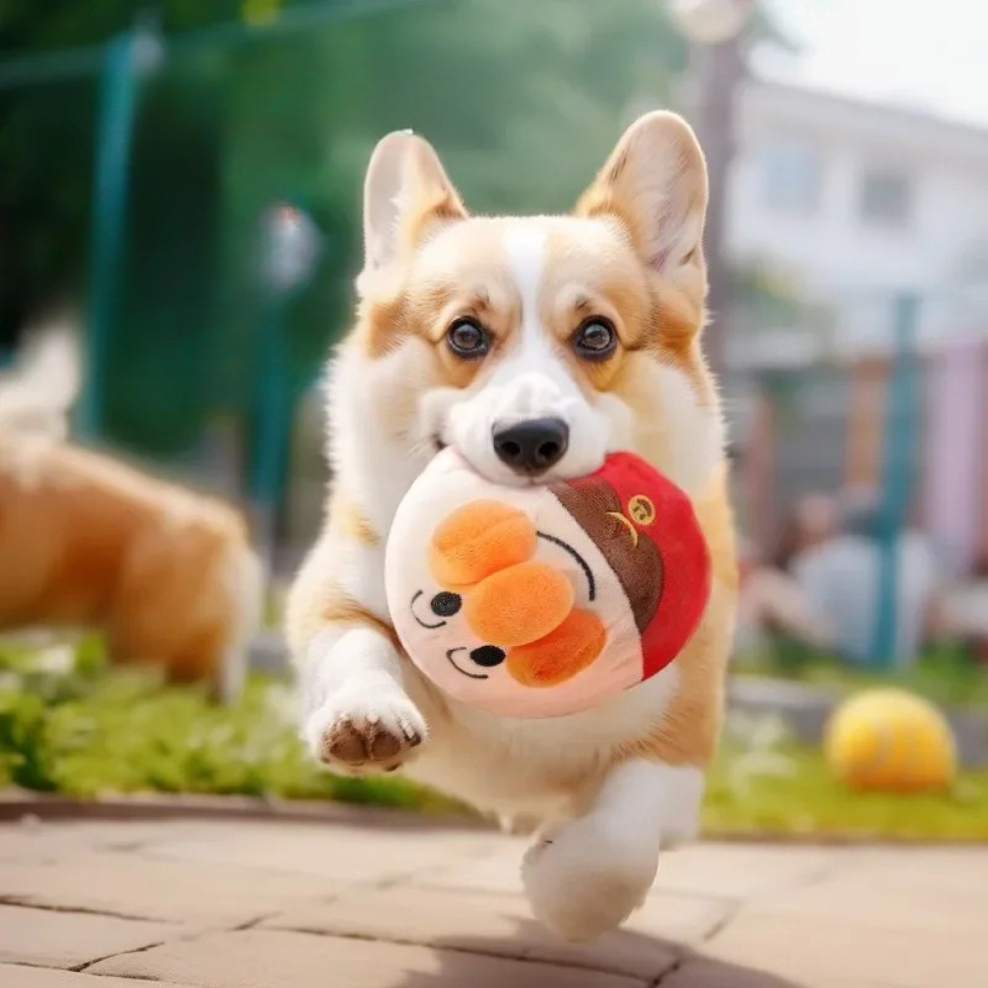 Interactive Dog Puzzle Ball