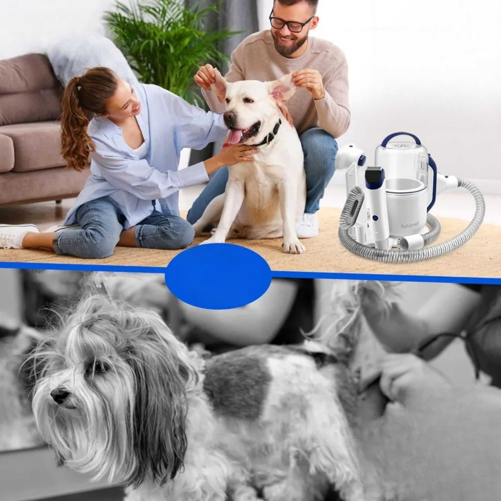 Pet Grooming Vacuum Kit