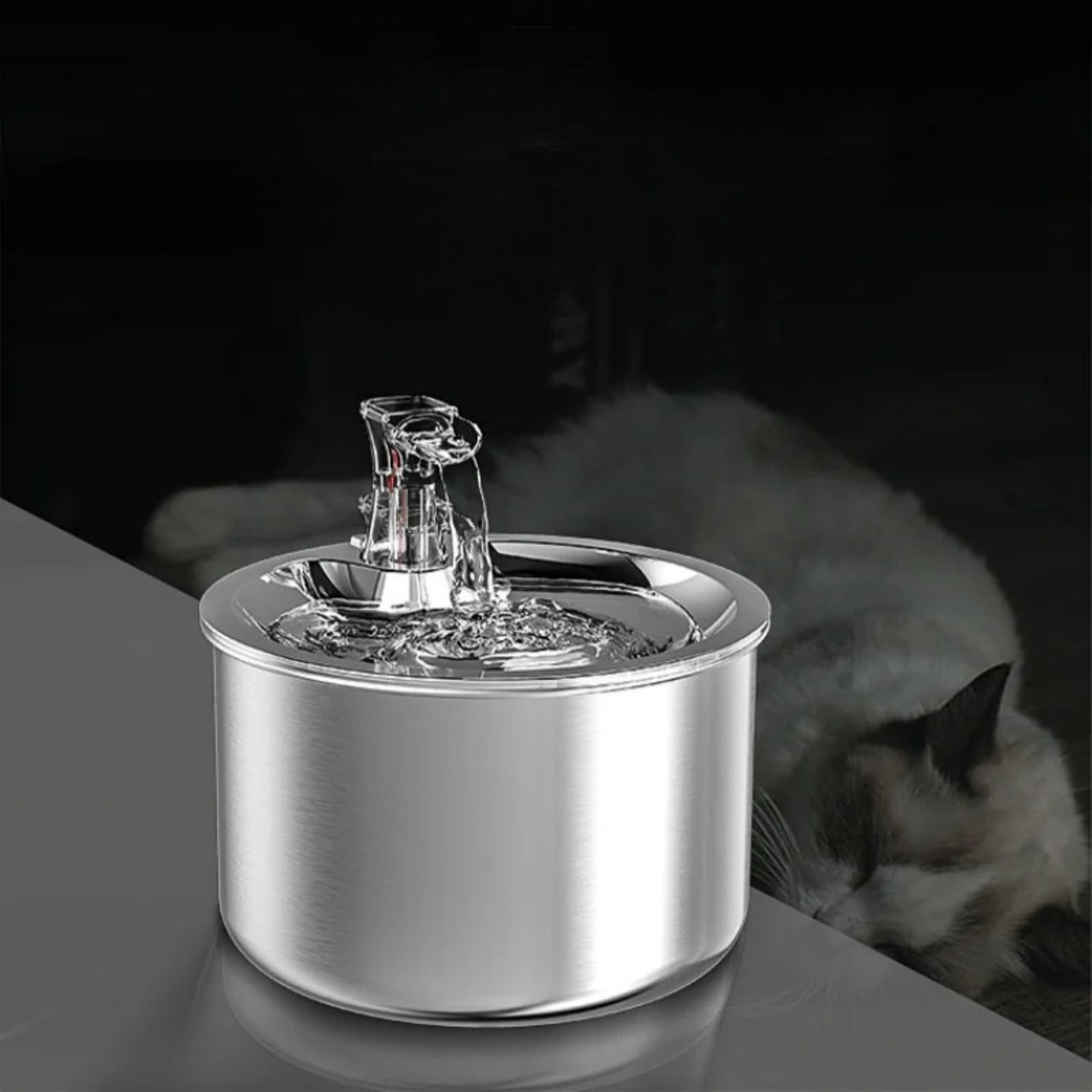 Fontaine pour animaux de compagnie en acier inoxydable