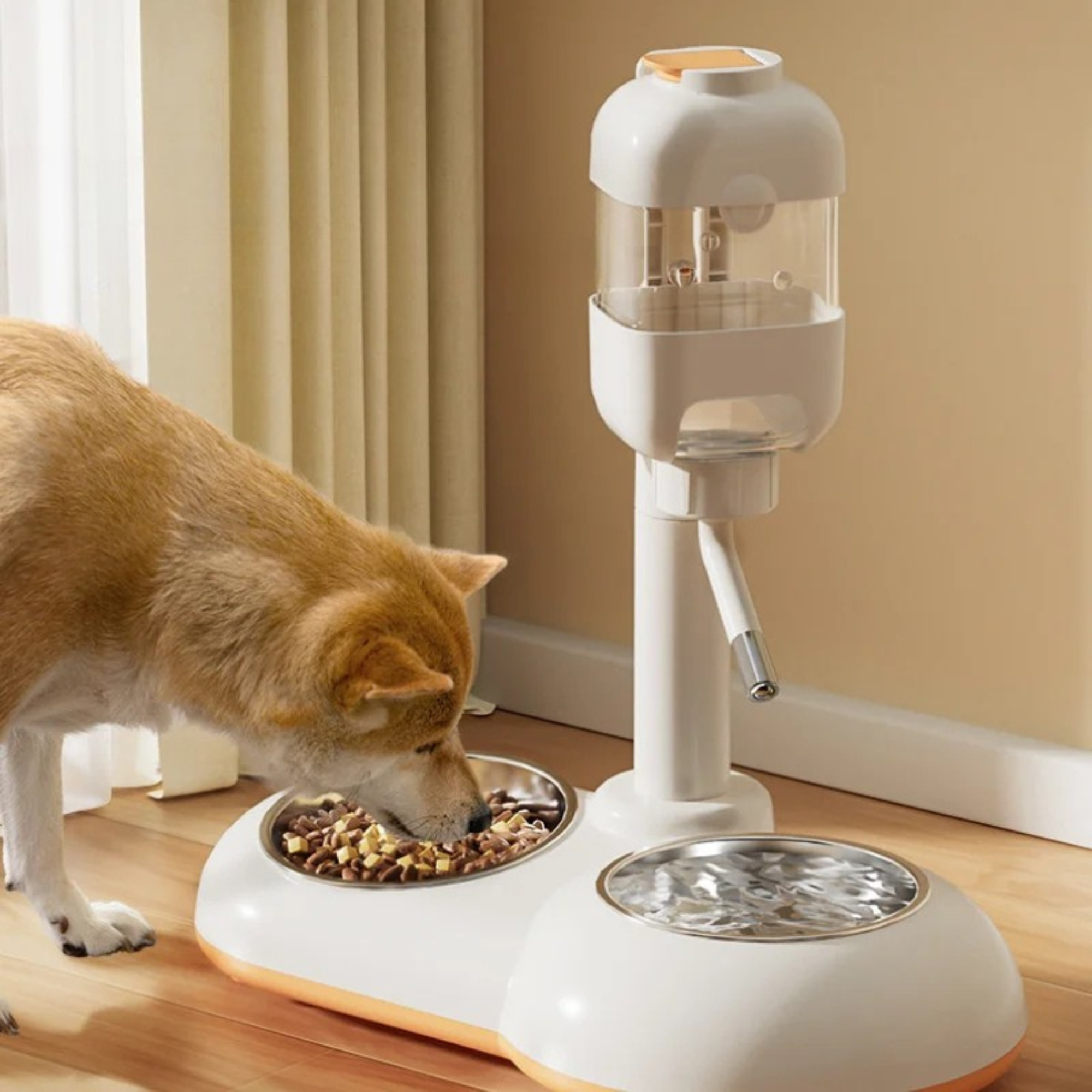 Adjustable Pet Water Feeder