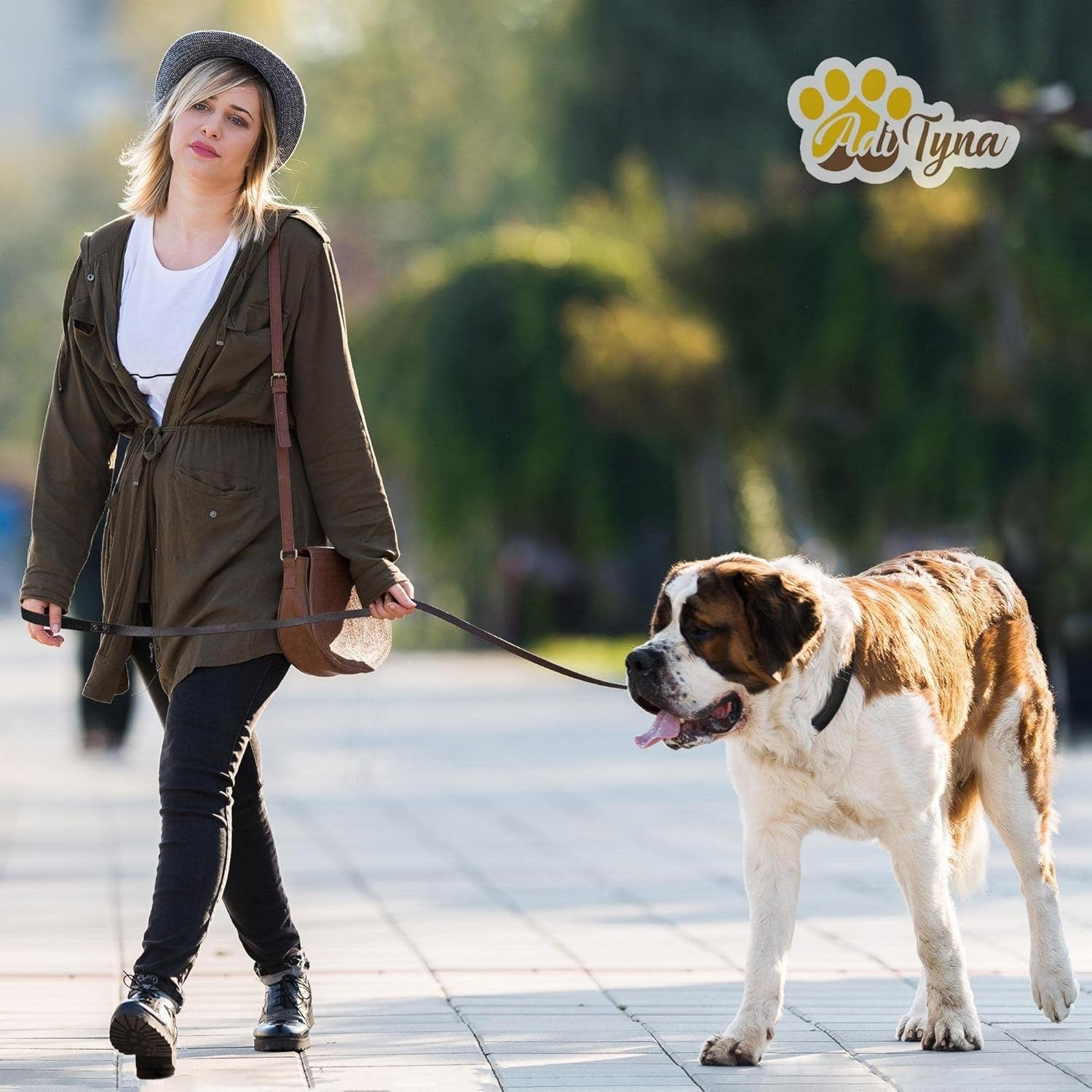 Woman walking large dog using heavy duty leather dog leash outdoors in park