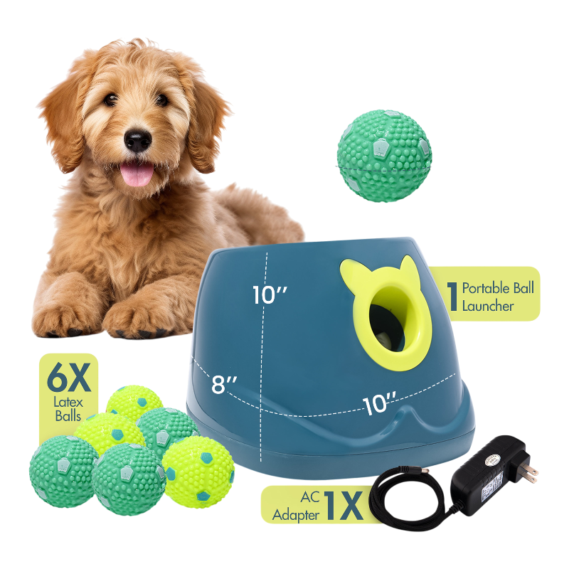 Pawtopix automatic dog ball launcher with 6 durable balls