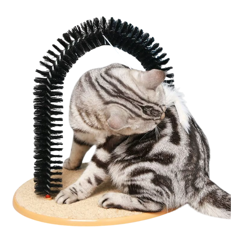 Pawtopix Cat Scratcher with Catnip and Toy Arch