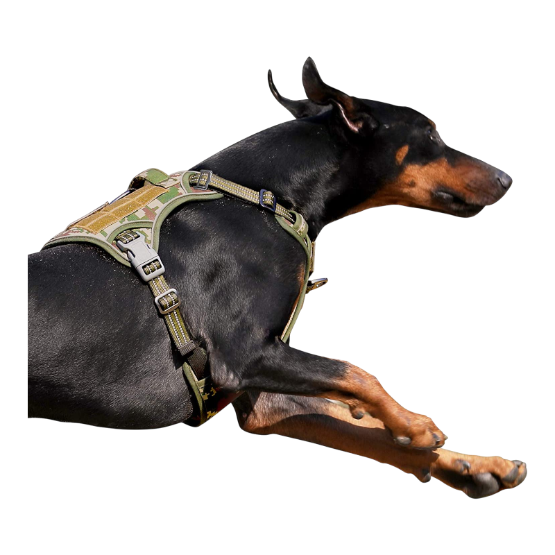 Pawtopix tactical dog harness large no pull olive camo with adjustable straps metal buckles and handle on Doberman