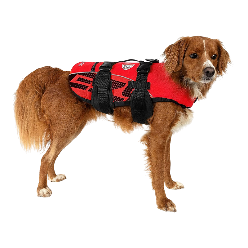 Pawtopix dog life jacket with handle - Reflective Buoyant