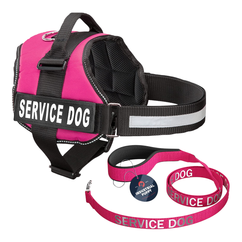 Pawtopix Pink Reflective service dog vest and leash set