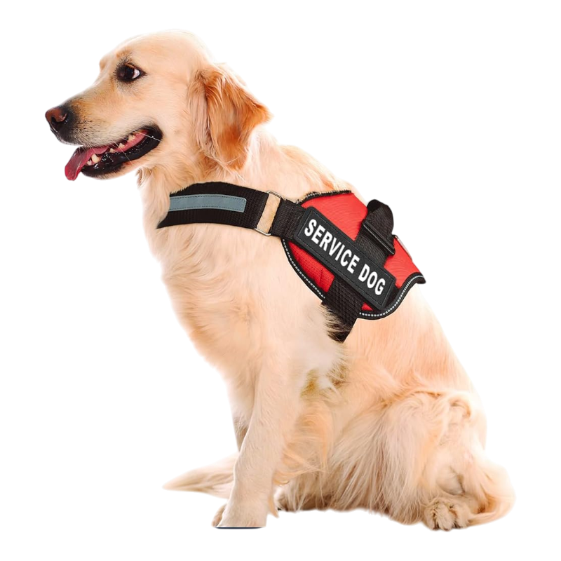 Pawtopix Pink Reflective service dog vest and leash set