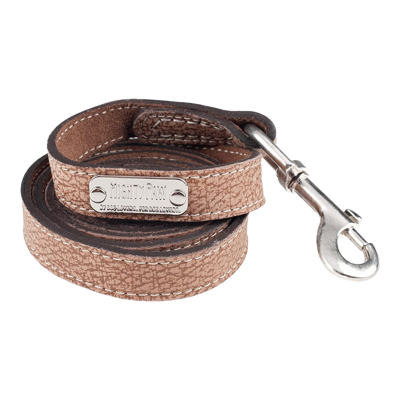 Pawtopix luxury leather dog leash in brown textured leather with metal clasp and engraved nameplate