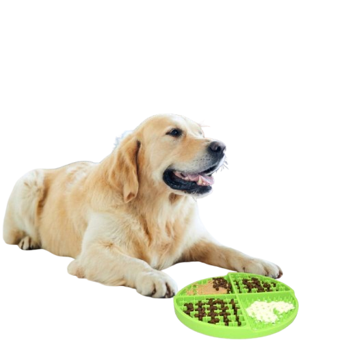 Pawtopix golden retriever using green round dog licking mat for anxiety with kibble and spreadable treat