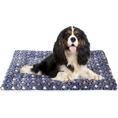 Pawtopix ultra soft dog bed crate pad - Plush Star Mat