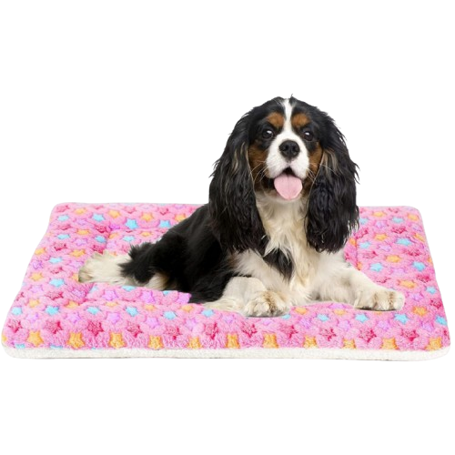 Pawtopix ultra soft dog bed crate pad - Plush Star Mat