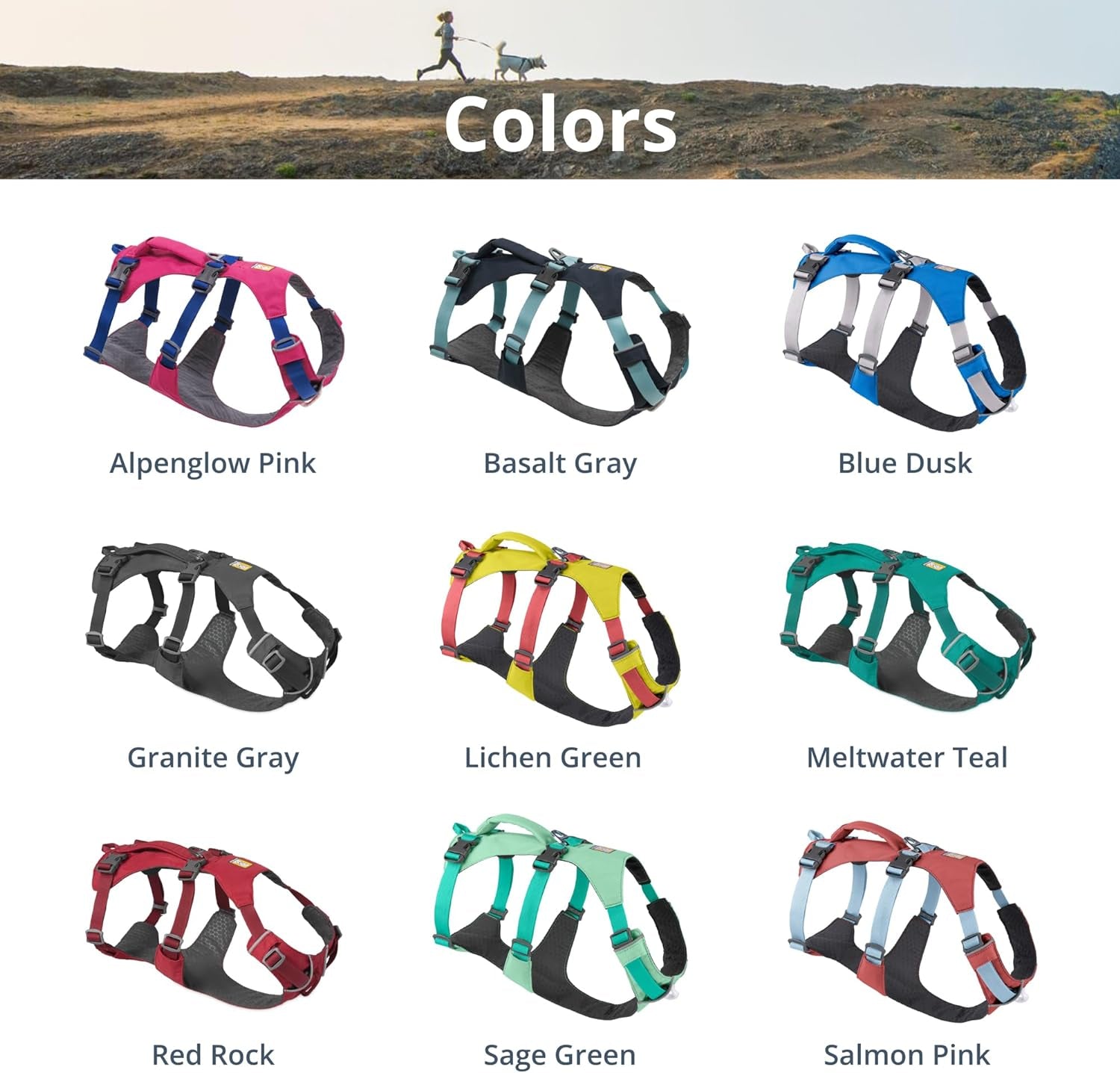 Pawtopix reflective no pull dog harness color chart showing nine harnesses in various colors and labels