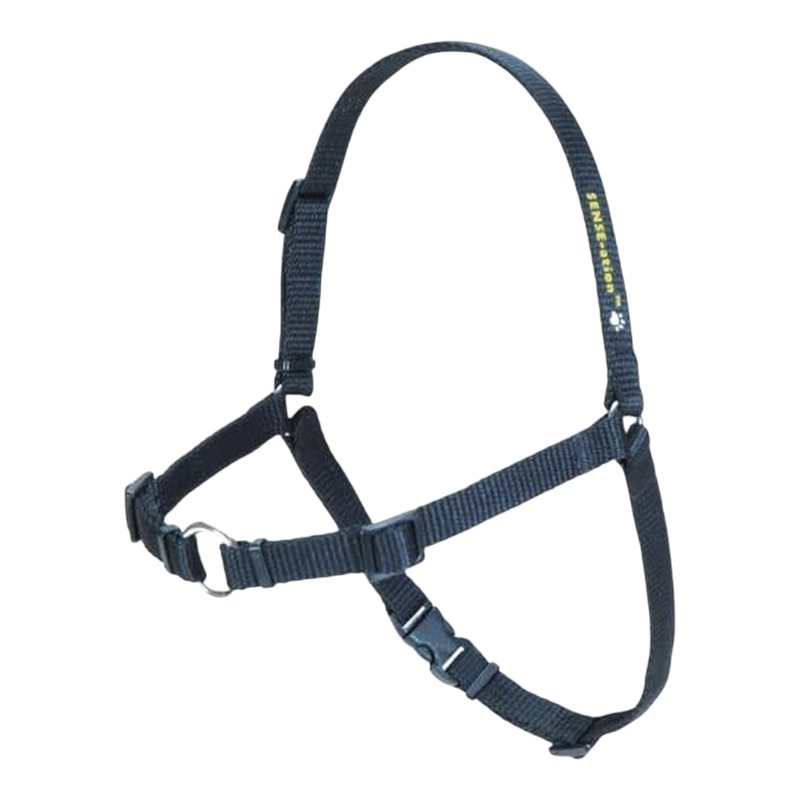 Pawtopix comfortable anti-pull dog harness, Padded