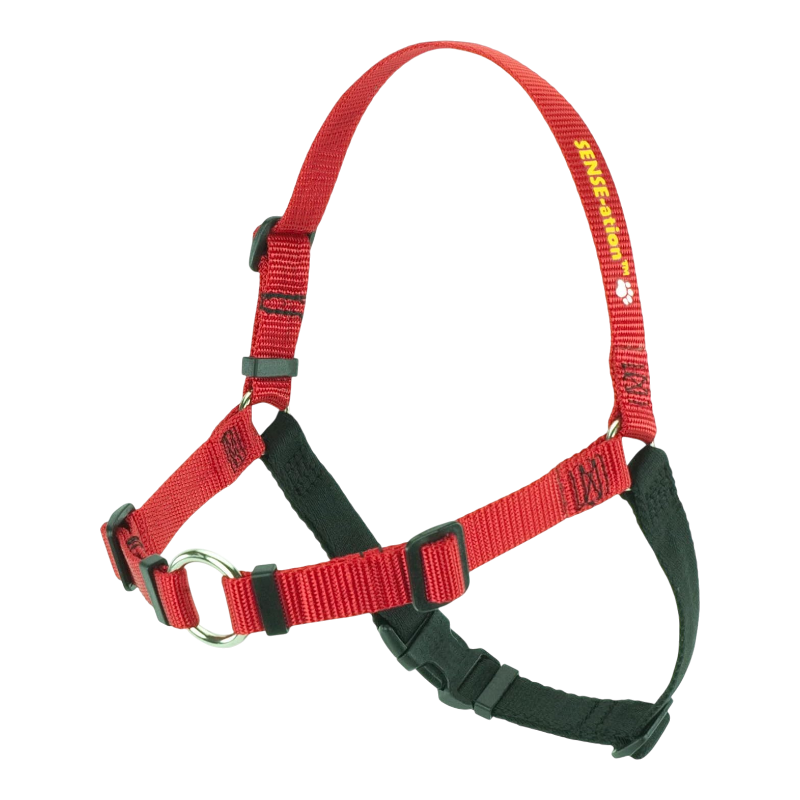 Pawtopix comfortable anti-pull dog harness, Padded